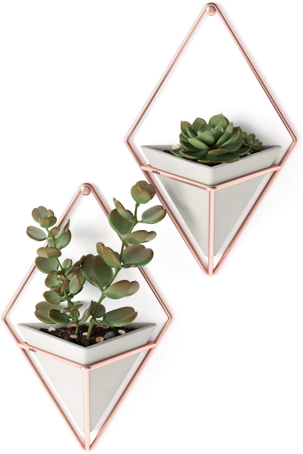 Small Hanging Planters