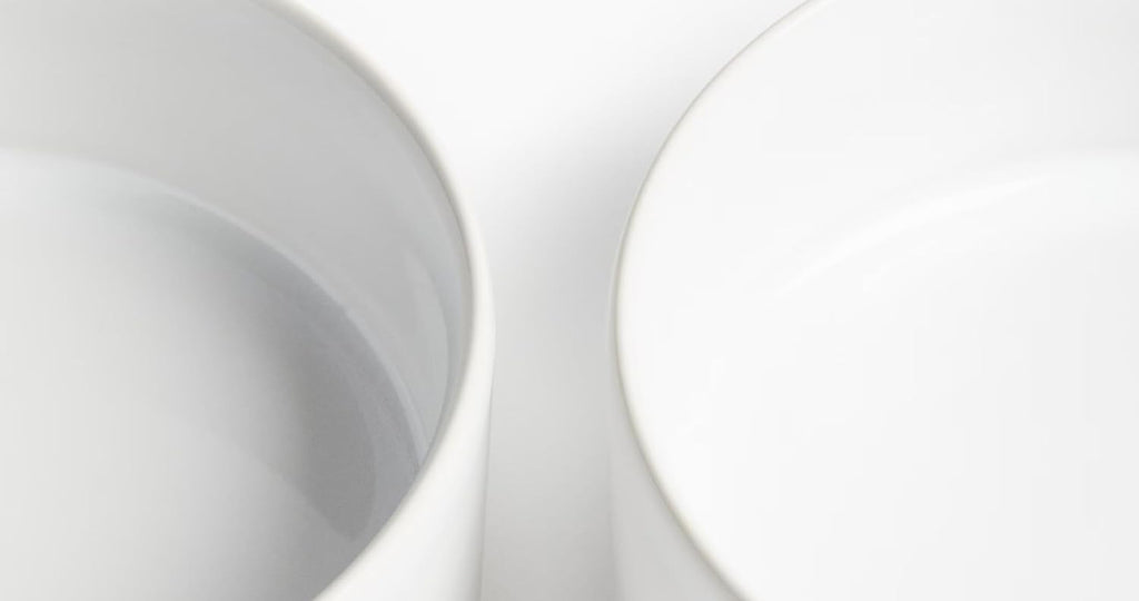 Ceramic Single Pot for Lucky Brazilian Wood Plant for Living Room - Healthy Indoor Feng Shui Plant, Low Maintenance Air Purifying Decor