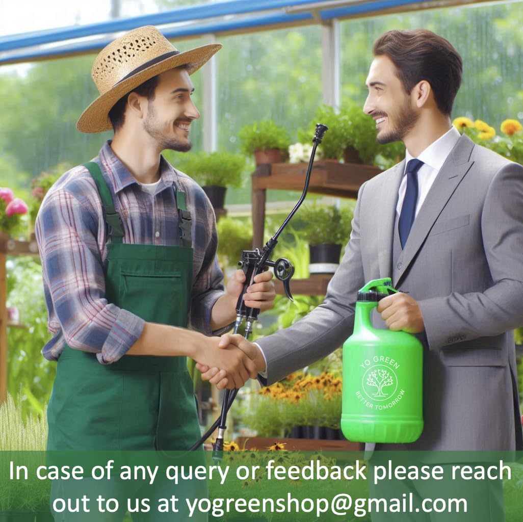 Ceramic Single Pot for Lucky Brazilian Wood Plant for Living Room - Healthy Indoor Feng Shui Plant, Low Maintenance Air Purifying Decor