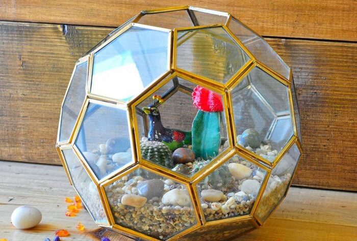 Wanderlust Terrarium Kit