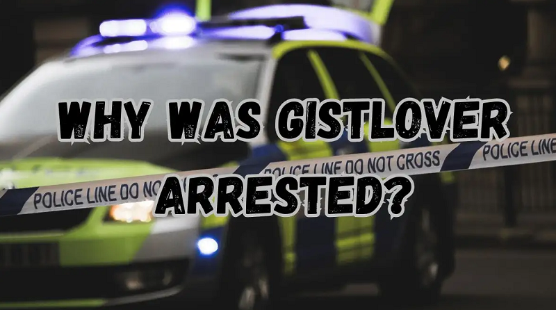 Why was Gistlover Arrested